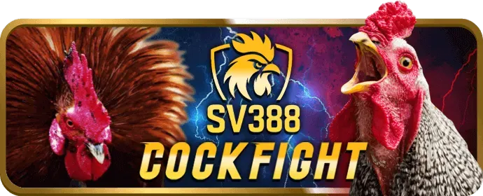 Dịch vụ hỗ trợ khách hàng chuyên nghiệp 24/7 của bet789 link vào