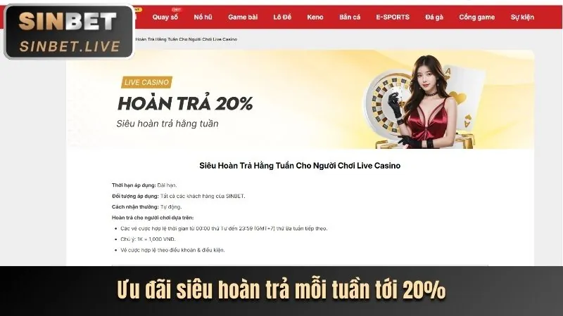 Các cấp độ VIP bet789